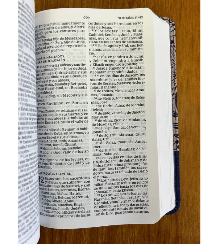 Biblia-Letra-Grande-Tamano-Compacto-Tapa-DuraTela-Azul-Floral