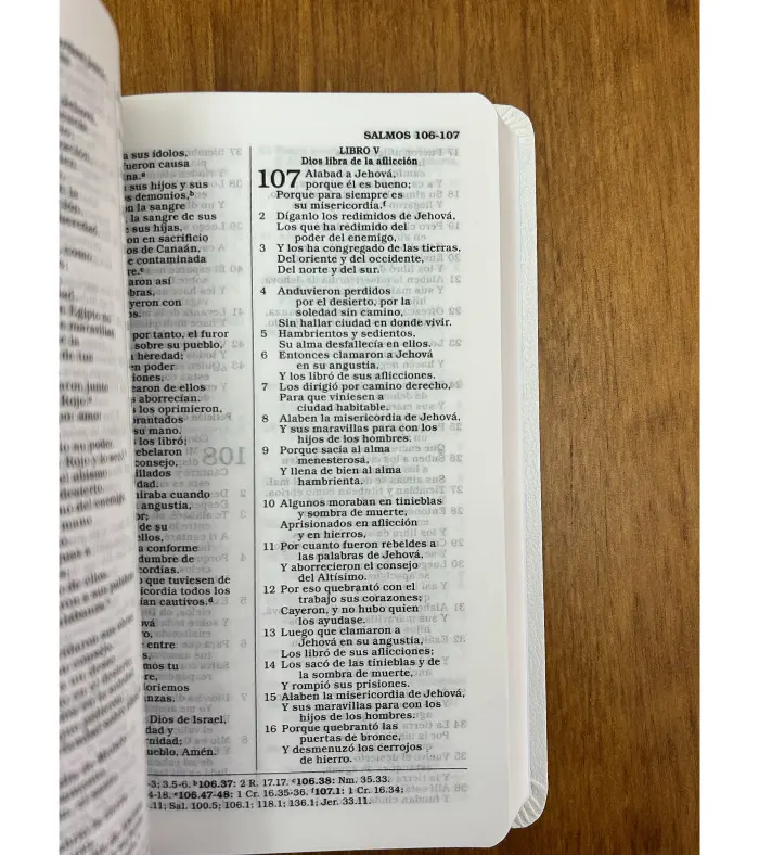 Biblia Regalos y Premios Simil piel Blanco – RV 1960 Biblia-Regalos-y-Premios-Simil-piel-Blanco-–-RV-1960.