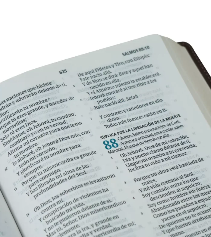 Biblia-del-Pescador-letra-grande-RVR1960-caoba-simil-piel-6 Biblia del Pescador Simil piel Caoba Letra grande – RVR 1960