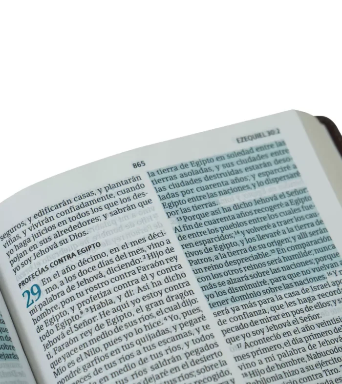 Biblia-del-Pescador-letra-grande-RVR1960-caoba-simil-piel-7 Biblia del Pescador Simil piel Caoba Letra grande – RVR 1960