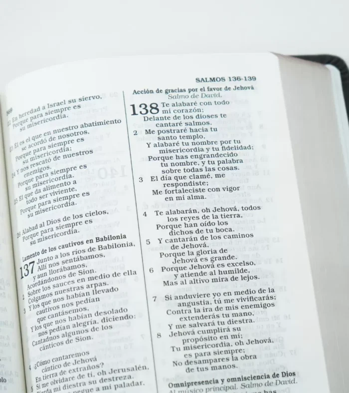 Biblia-para-regalos-y-premios-negro-plata-9781535991117-5 Biblia Regalos y Premios Simil Piel Negro/Plata - RV1960