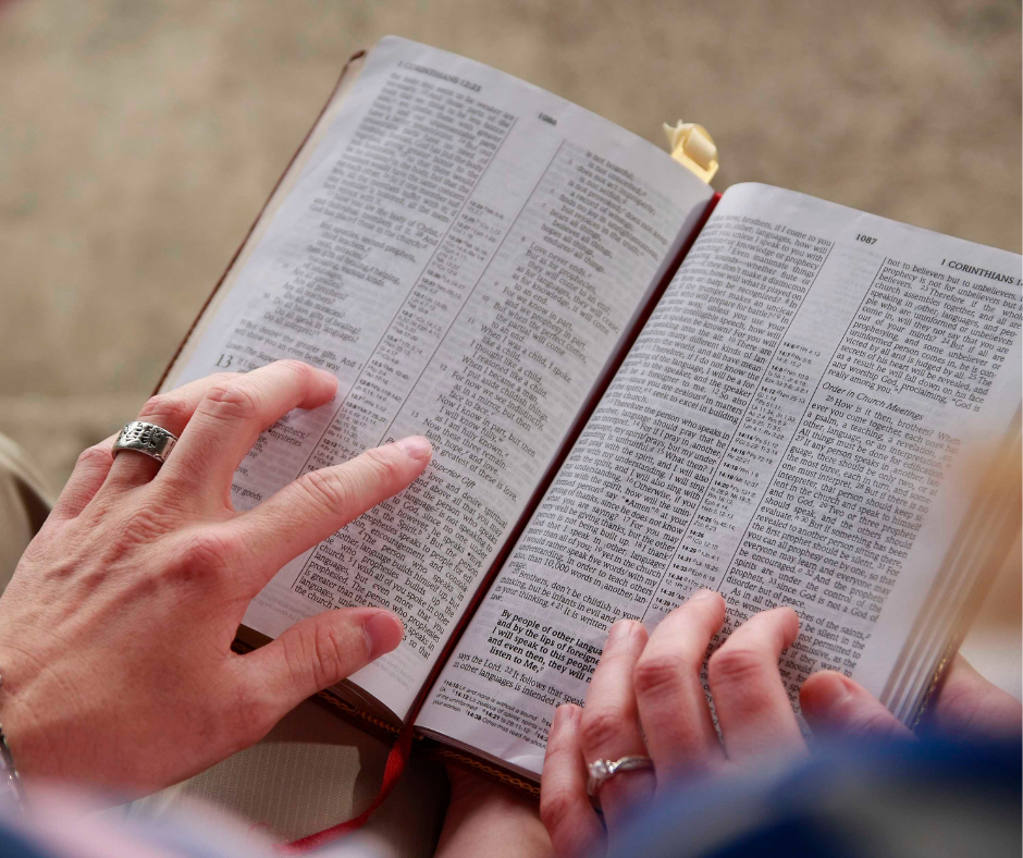 logo libreria senda fiel