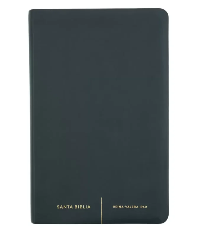 Biblia - Letra Grande - Simil Piel - Negro – RV 1960
