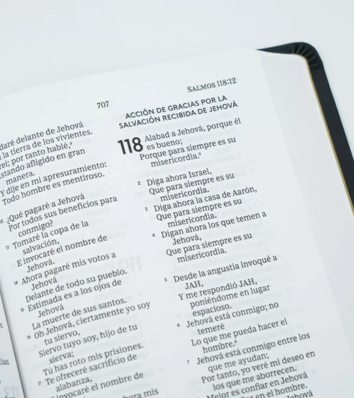 Biblia - Letra Grande - Simil Piel - Negro – RV 1960