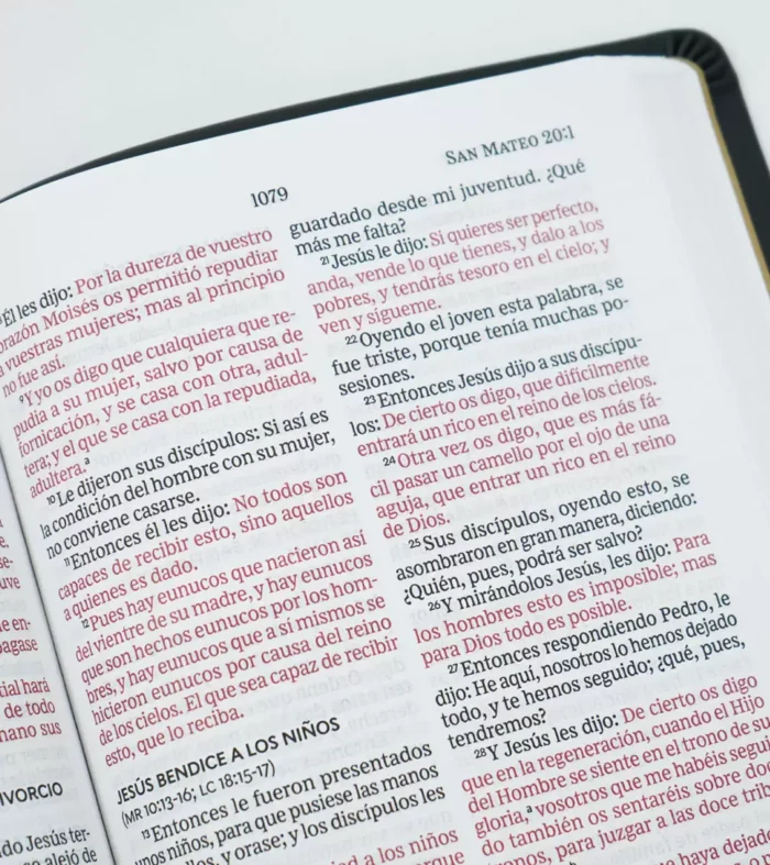 Biblia - Letra Grande - Simil Piel - Negro – RV 1960