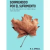 sorprendido-por-el-sufrimiento-1-700×788 Sorprendido por el Sufrimiento – R. C. Sproul