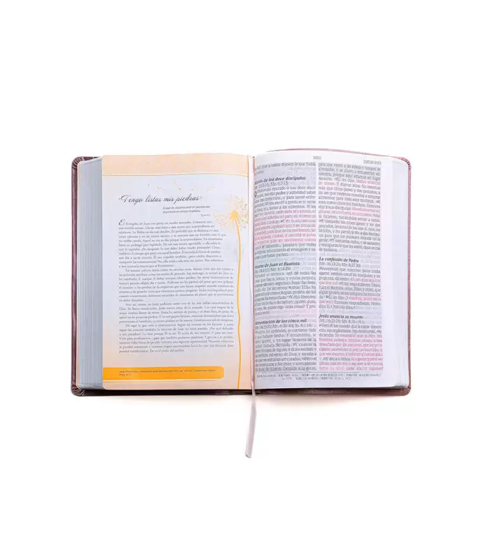 9780789923288_2-700×788 Biblia de Promesas Inspira para Mujeres Letra Grande RVR 1960 – Simil Piel Oro Rosado