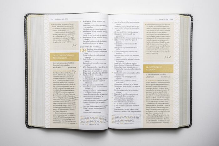 img_3431-2 Biblia temática de estudio - RV Negro/Dorada Simil Piel - Miguel Nuñez