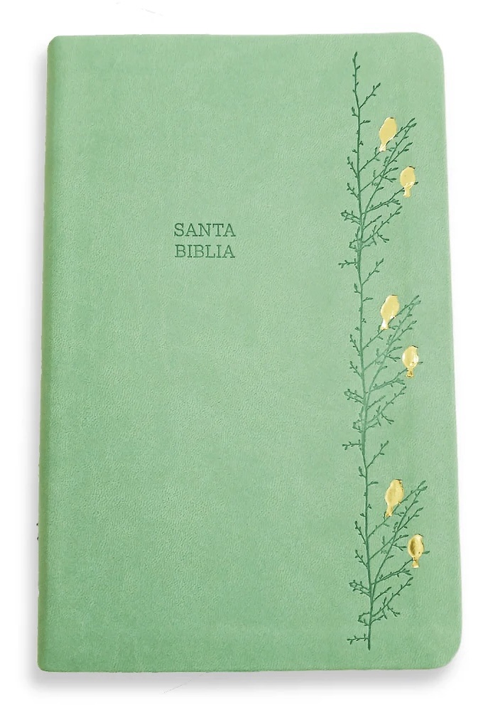 Biblia - RV 1960 - Letra Gigante / Verde