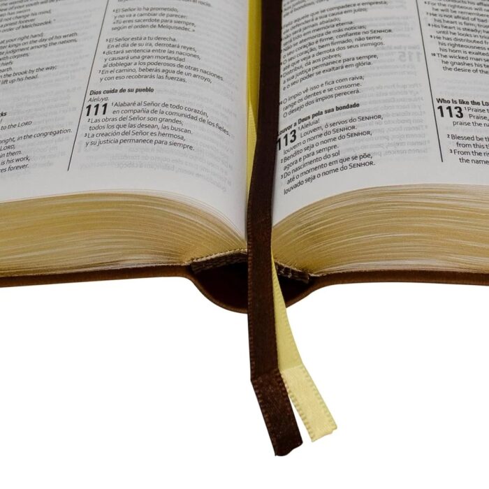 img_3380 Biblia Trilingüe- Esp/ Ing/ Por - RVC