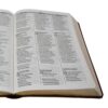 img_3381 Biblia Trilingüe- Esp/ Ing/ Por - RVC