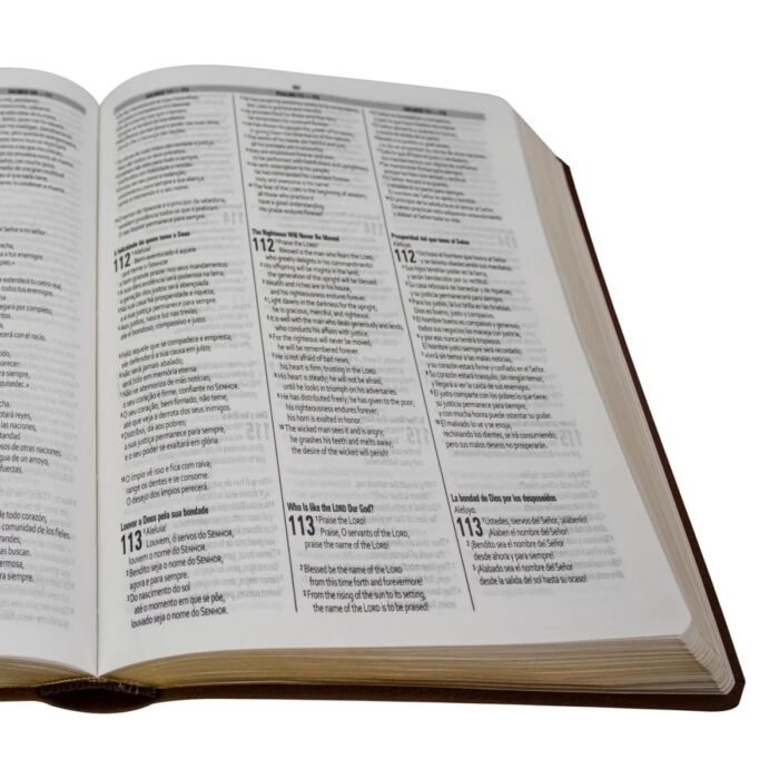 img_3381 Biblia Trilingüe- Esp/ Ing/ Por - RVC