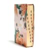 Biblia Centrada en Cristo - RV1960