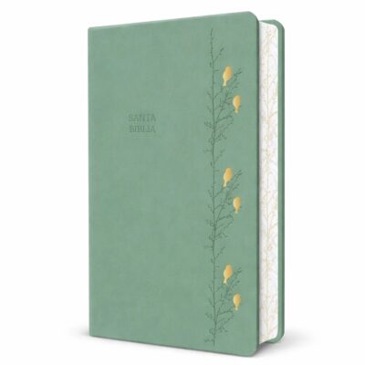 Biblia - RV 1960 - Letra Gigante / Verde