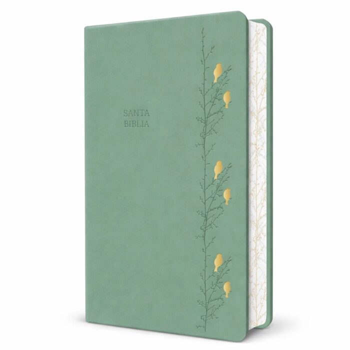 Biblia - RV 1960 - Letra Gigante / Verde